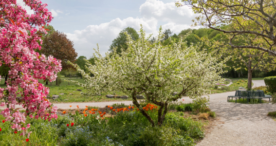 Bild-Nr: 12822675 Frühling im Westpark München I Erstellt von: SusaZoom