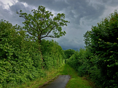 Bild-Nr: 12829884 Unwetter Erstellt von: Ostfriese