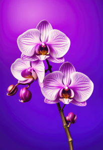 Bild-Nr: 12831908 Orchideenzweig in Purple KI Erstellt von: XYRIUS