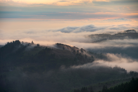 Bild-Nr: 12833034 Mystische Nebel Erstellt von: NaturArtPhotographie