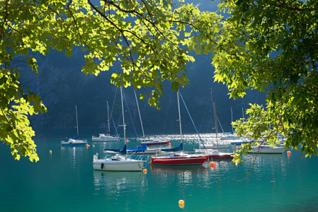 Bild-Nr: 12833281 Segelboote am Achensee Erstellt von: SusaZoom