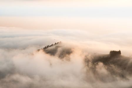 Bild-Nr: 12834134 Nebel über die Bäume Erstellt von: NaturArtPhotographie