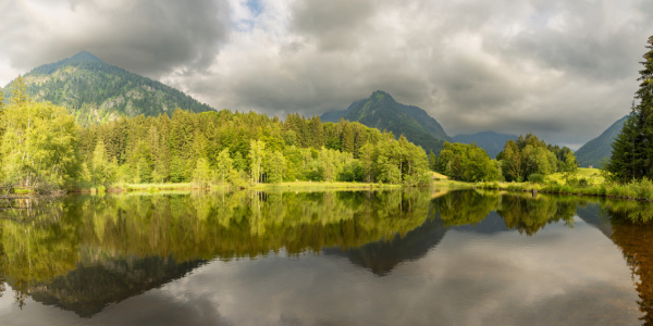 Bild-Nr: 12835994 Moorweiher in Oberstdorf Erstellt von: Walter G. Allgöwer