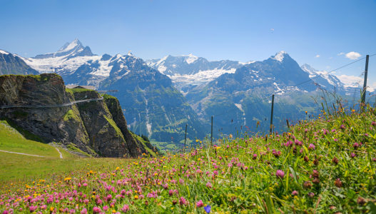 Bild-Nr: 12838466 Berglandschaft Grindelwald First Erstellt von: SusaZoom