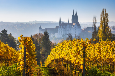 Bild-Nr: 12838631 Albrechtsburg und Dom mit Weinlaub Erstellt von: Daniela Beyer