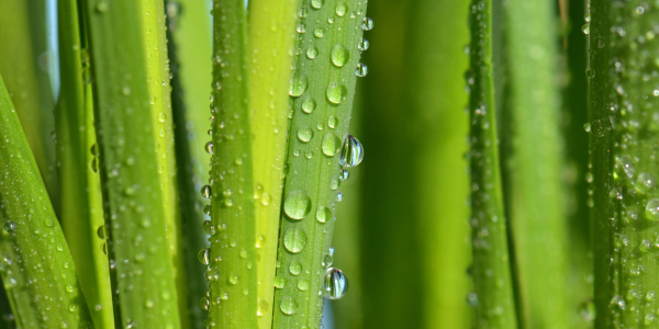 Bild-Nr: 12838634 Wassertropfen Erstellt von: Atteloi