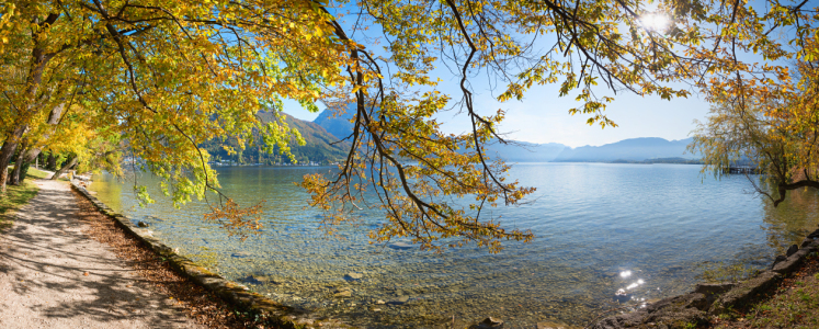 Bild-Nr: 12840870 Herbstliches Traunseeufer Erstellt von: SusaZoom