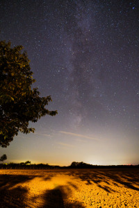 Bild-Nr: 12844103 Sternennacht Erstellt von: Bellavonte