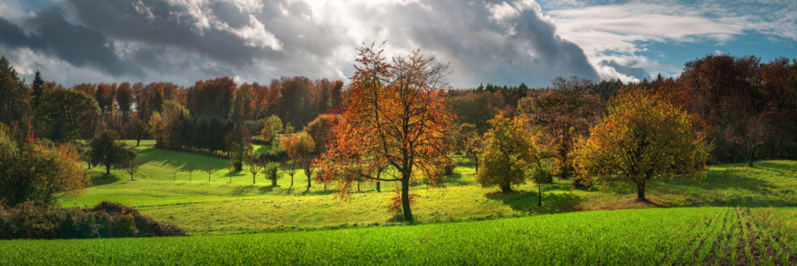 Bild-Nr: 12844252 Ländliches Paradies in herrlichem Licht Erstellt von: Smileus