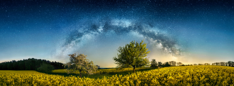Bild-Nr: 12844259 Nachtlandschaft mit Bäumen und der Milchstraße Erstellt von: Smileus
