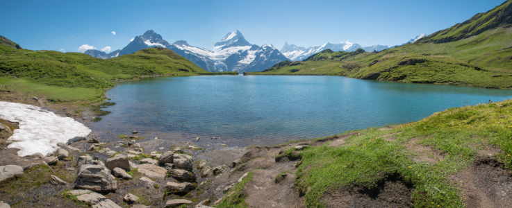 Bild-Nr: 12844745 Frühling am Bachalpsee Berner Oberland II Erstellt von: SusaZoom