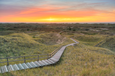 Bild-Nr: 12847306 Blick von der Setzerdüne in Norddorf auf Amrum Erstellt von: Michael Valjak