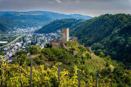 Bild-Nr: 12847771 Niederburg Kobern 10 Erstellt von: Erhard Hess