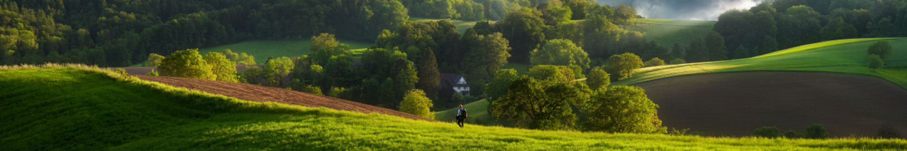 Bild-Nr: 12848024 Atemberaubende Panoramalandschaft mit einem Wander Erstellt von: Smileus