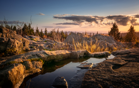 Bild-Nr: 12849185 Herbstliche Stimmung im Harz Erstellt von: Steffen Henze