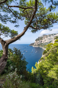 Bild-Nr: 12849669 Die Insel Capri im Sommer Erstellt von: eyetronic
