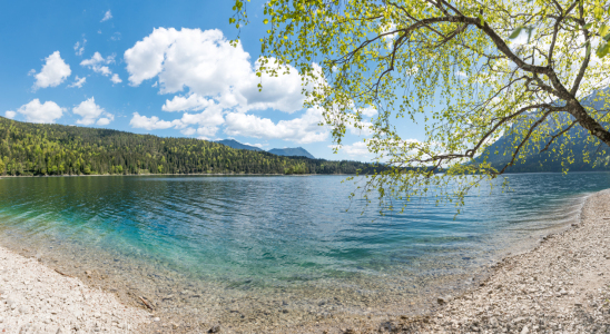 Bild-Nr: 12849788 Eibsee-Idylle im Frühling III Erstellt von: SusaZoom