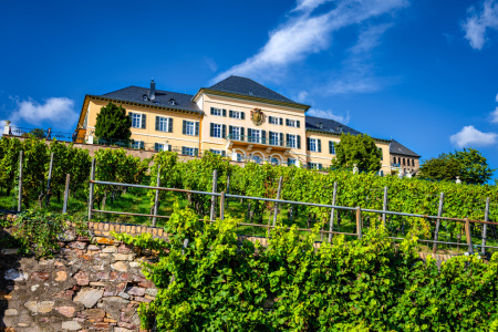 Bild-Nr: 12851679 Schloss Johannisberg 18 Erstellt von: Erhard Hess