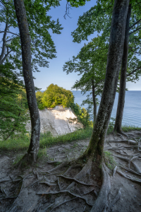 Bild-Nr: 12851815 Ostseeküste auf Rügen Erstellt von: eyetronic