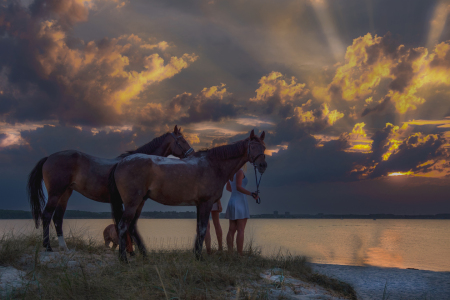 Bild-Nr: 12852096 Pferde am Strand im Sonnenuntergang Erstellt von: Tanja Riedel