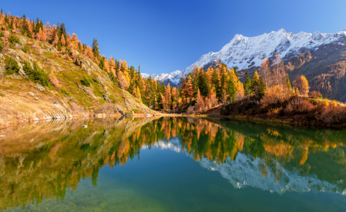 Bild-Nr: 12852229 Herbst im Lötschental - Wallis - Schweiz Erstellt von: Achim Thomae
