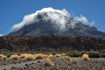 Bild-Nr: 12852762 Nationalpark Teide Erstellt von: Walter G. Allgöwer