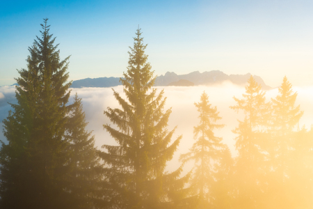Bild-Nr: 12853984 Kaisergebirge im Sonnenaufgang über Nebelmeer Erstellt von: Martin Martin Wasilewski