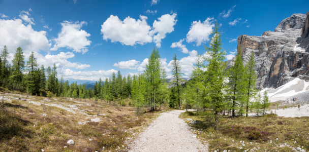 Bild-Nr: 12854411 Wanderweg am Heiligkreuzkofel Südtirol Erstellt von: SusaZoom