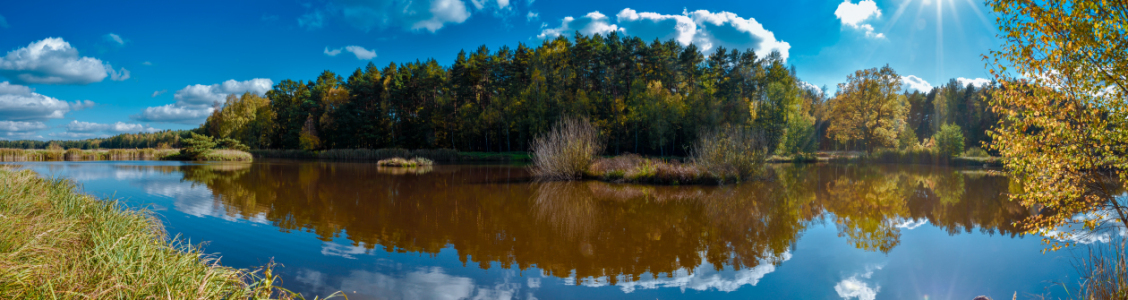 Bild-Nr: 12854650 Natur Erstellt von: Gregor Handy