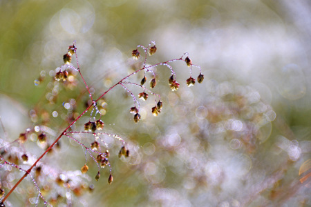 Bild-Nr: 12855398 Glitzerwelt Erstellt von: GUGIGEI