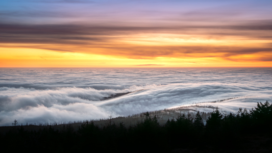 Bild-Nr: 12856278 Nebelmeer übern Harz  Erstellt von: Steffen Henze