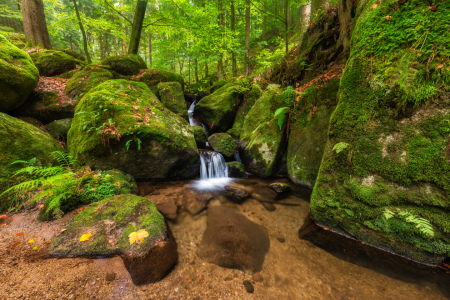 Bild-Nr: 12857908 kleiner Wasserfall in der Gertelbachschlucht Erstellt von: Daniela Beyer