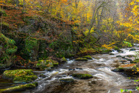 Bild-Nr: 12858231 Uriges Bodetal Erstellt von: Daniela Beyer