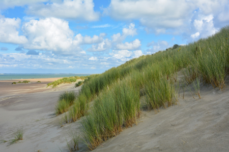 Bild-Nr: 12860110 Die Dünen der Nordsee  Erstellt von: Claudia Evans