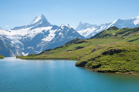 Bild-Nr: 12860488 Bachalpsee Schreckhorn Finsteraarhorn Erstellt von: SusaZoom