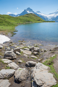 Bild-Nr: 12860494 Bachalpsee im Berner Oberland II Erstellt von: SusaZoom