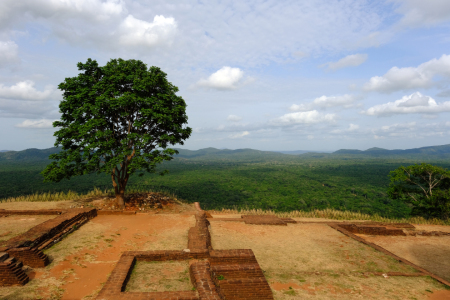 Bild-Nr: 12861359 Sri Lanka Erstellt von: Gerhard Albicker