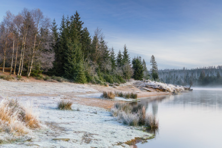 Bild-Nr: 12864336 Frostiger Morgen am Oderteich Erstellt von: Daniela Beyer