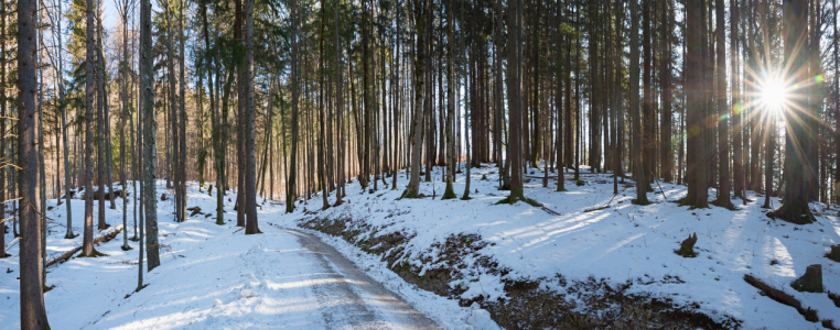 Bild-Nr: 12864898 Winterwaldweg Erstellt von: SusaZoom