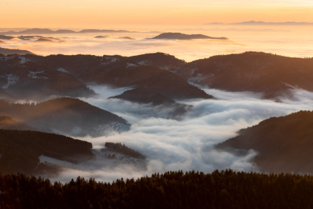 Bild-Nr: 12865106 Nebelmeer über den Schwarzwald Erstellt von: Marcel Heinzmann