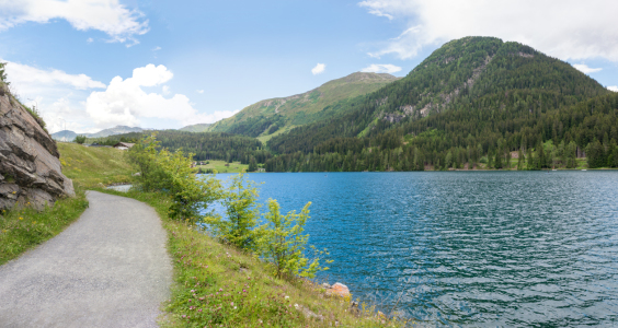 Bild-Nr: 12866334 Spazierweg Davoser See Erstellt von: SusaZoom