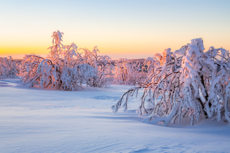 Bild-Nr: 12867833 Verschneite Landschaft zum Sonnenuntergang Erstellt von: Daniela Beyer