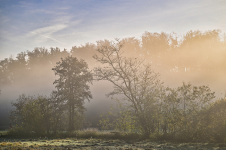 Bild-Nr: 12871588 Landschaft am Morgen  Erstellt von: falconer59