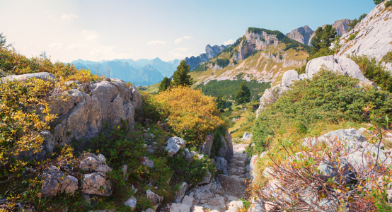 Bild-Nr: 12871643 Herbstlicher Wanderweg Rofangebirge Erstellt von: SusaZoom