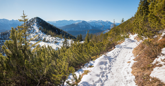 Bild-Nr: 12872928 Winterwanderweg Herzogstand Erstellt von: SusaZoom