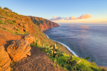 Bild-Nr: 12873536 Madeira Ponta do Pargo Erstellt von: Michael Valjak