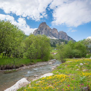 Bild-Nr: 12873861 Frühling an der Gader in Corvara Südtirol Erstellt von: SusaZoom