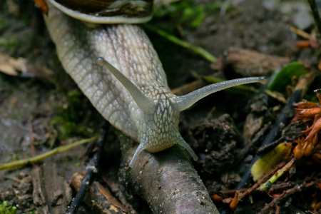 Bild-Nr: 12874051 Platz da Erstellt von: volker heide