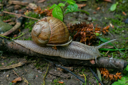 Bild-Nr: 12874052 Balance Erstellt von: volker heide
