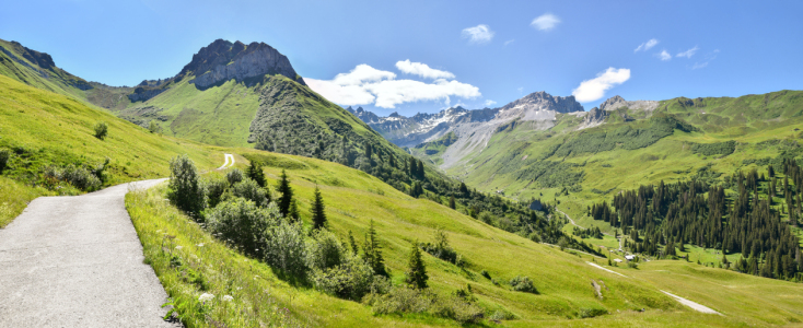Bild-Nr: 12877026 Wanderweg im Gafiertal bei Sankt Antönien Schweiz Erstellt von: SusaZoom